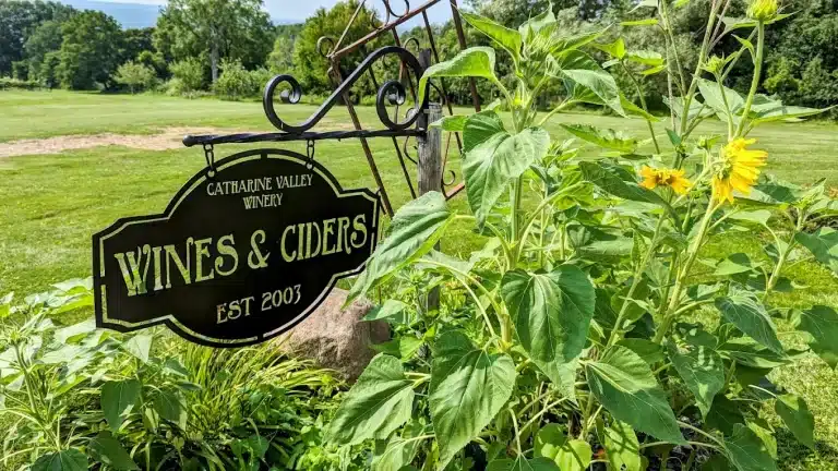 unnamed 2025 06 15T143126.872 768x432