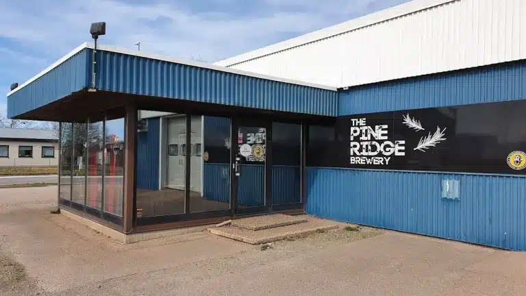 unnamed 66 1 768x432