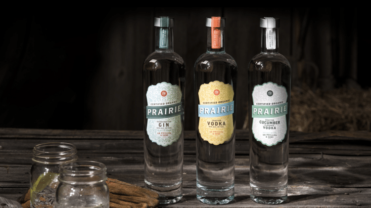 273721867 245961074366951 4864432882549811021 n