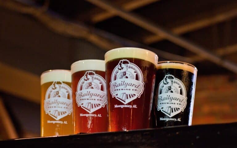 301066882 494143672718010 159286246193499977 n 768x482