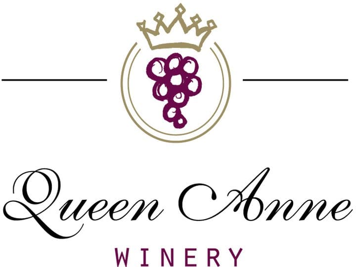 301771532 206269805080426 4413550873049783122 n