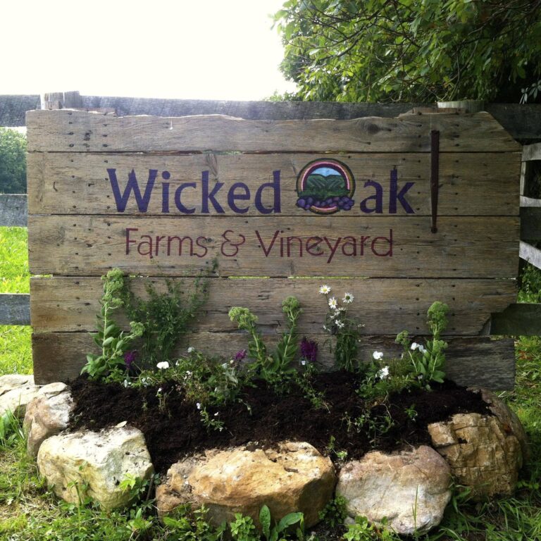 301918273 383109383984110 4173331005180955836 n 768x768