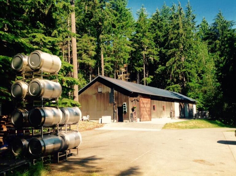 37871761 1793146927460707 4691224960163643392 n 768x573