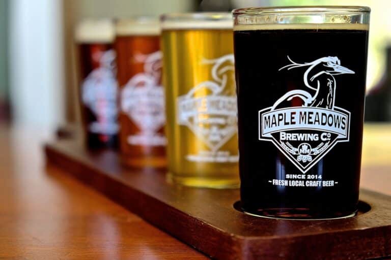 494238479 2766166356912818 183412490956123286 n 768x512