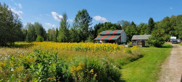 516767848 696192913179307 6736483755434273104 n 768x346