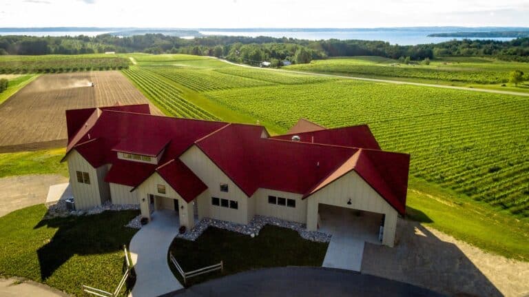 Bonobo Summer 768x431