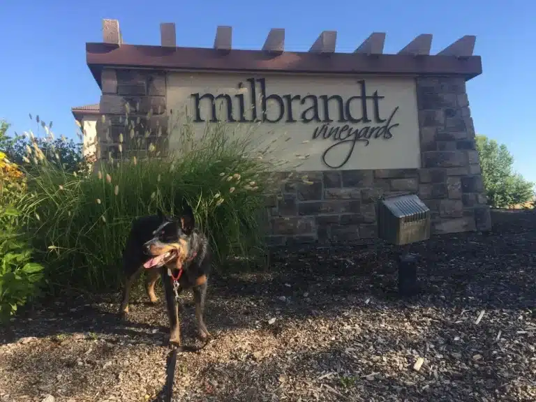 unnamed 2025 07 06T114317.834 768x576