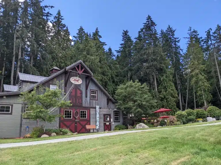 unnamed 2025 07 06T122617.341 768x576