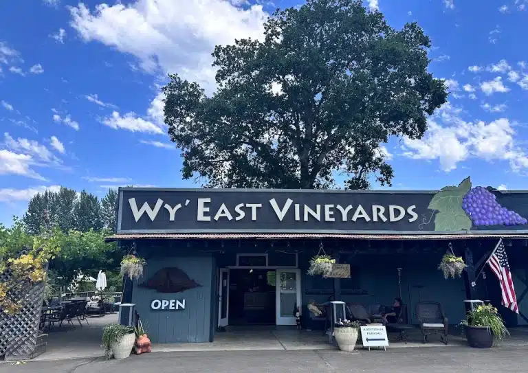 unnamed 2025 07 06T135837.163 768x543