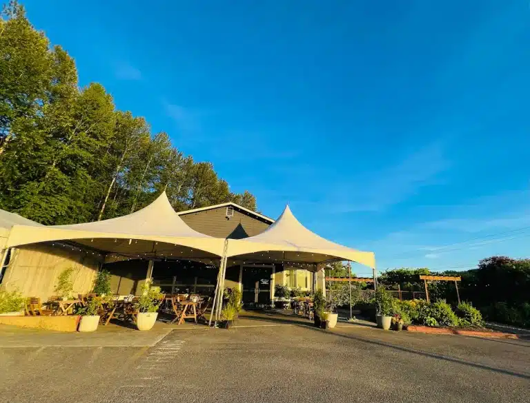 unnamed 2025 07 07T183217.572 768x585