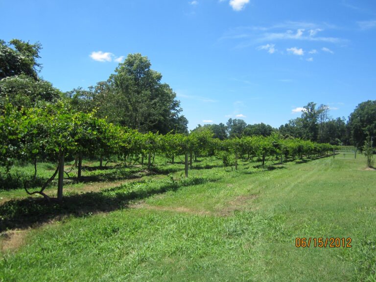 463457126 8507895322622823 5306287322533331632 n 768x576