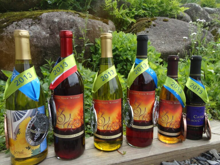 470576524 910383051211808 2452251898111733786 n 768x576