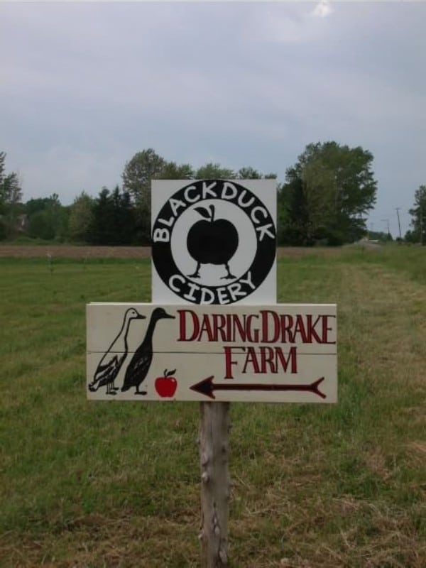 BDCroad sign