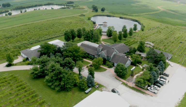 MVV DRONEVIEW2022 20220318 112407 249 768x444