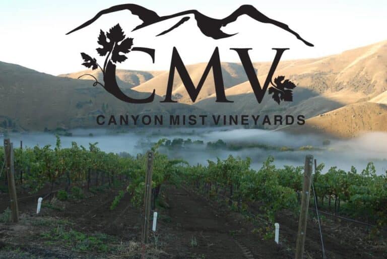 291157603 460117989450740 6203791999293212570 n 768x514