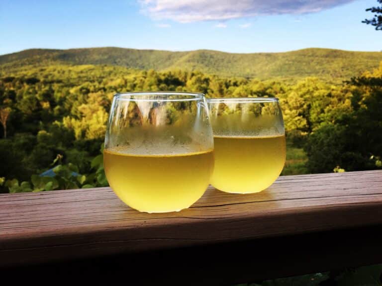 309187759 452660600228084 5697582550219691610 n 768x575