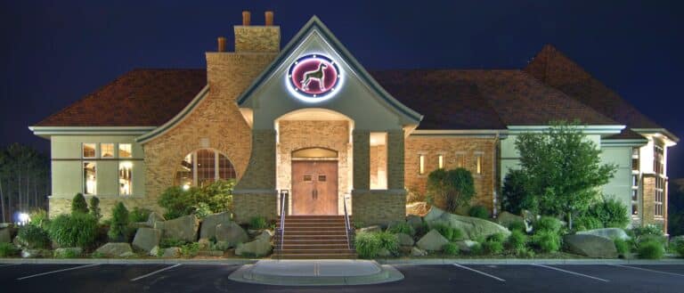 481319795 1652459658896228 483415538504426075 n 768x329