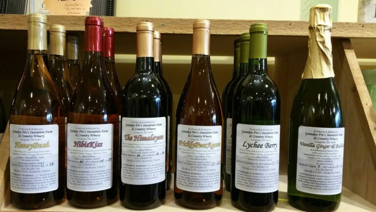 556686782 31426723353639918 3033349257954452996 n 768x432