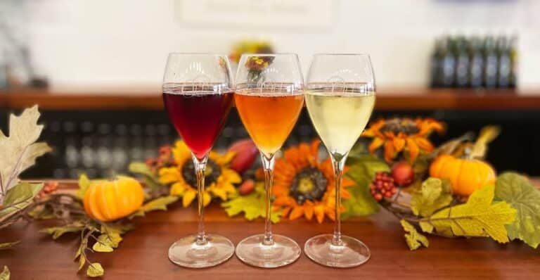 557876692 1265766168921524 2278731744961212678 n 768x398