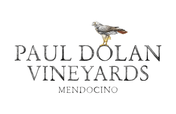 PDV Logo Full Color 3000x1500