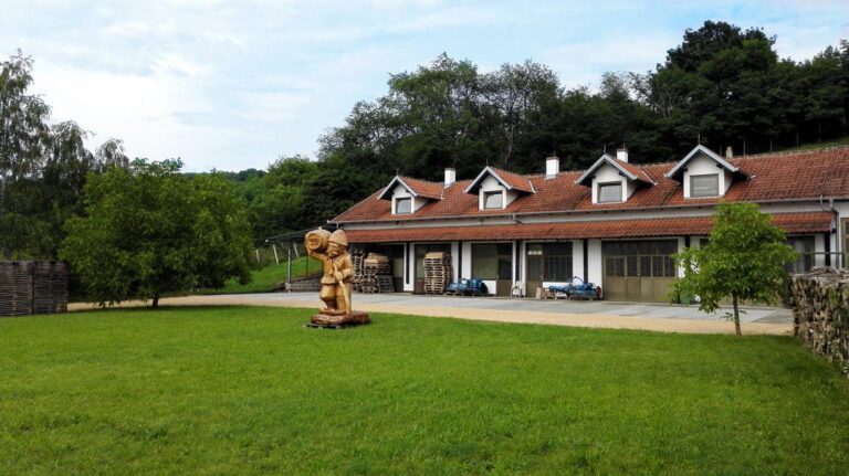 pruna pogon org 1 768x431