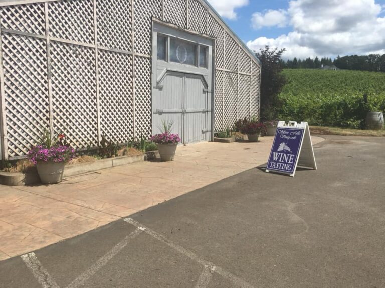 66473025 2547708201928006 3043780341274771456 n 768x576