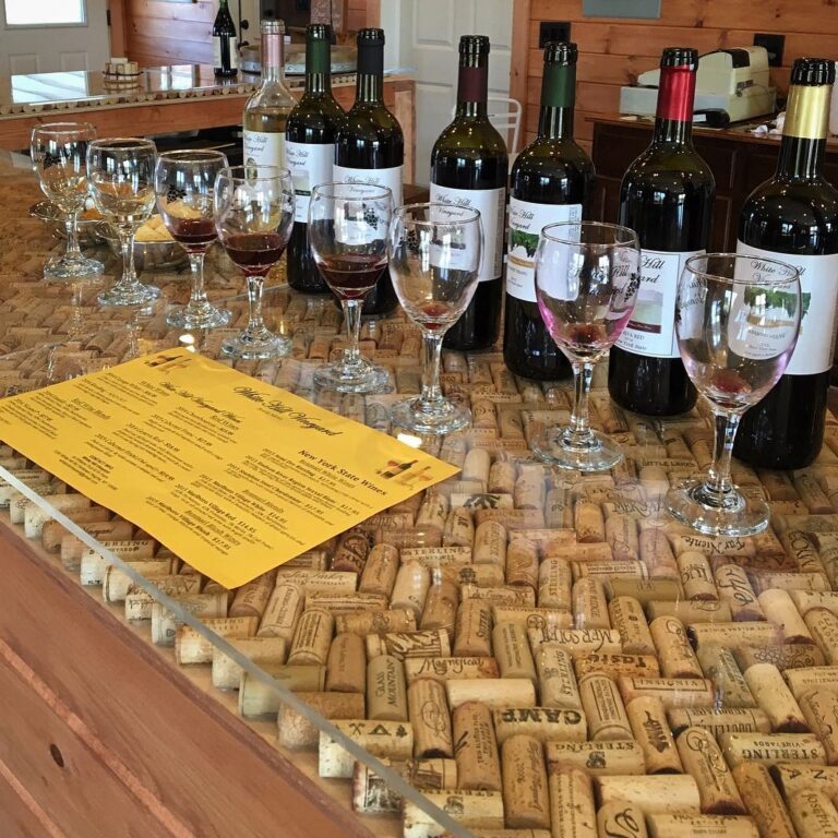 40035459 858500144537443 3394544638097358848 n 768x768