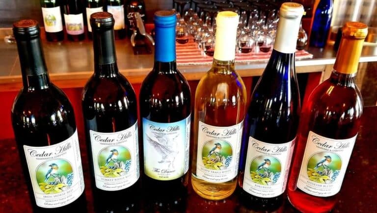 480820241 1273121338150355 1688686936543757411 n 768x435