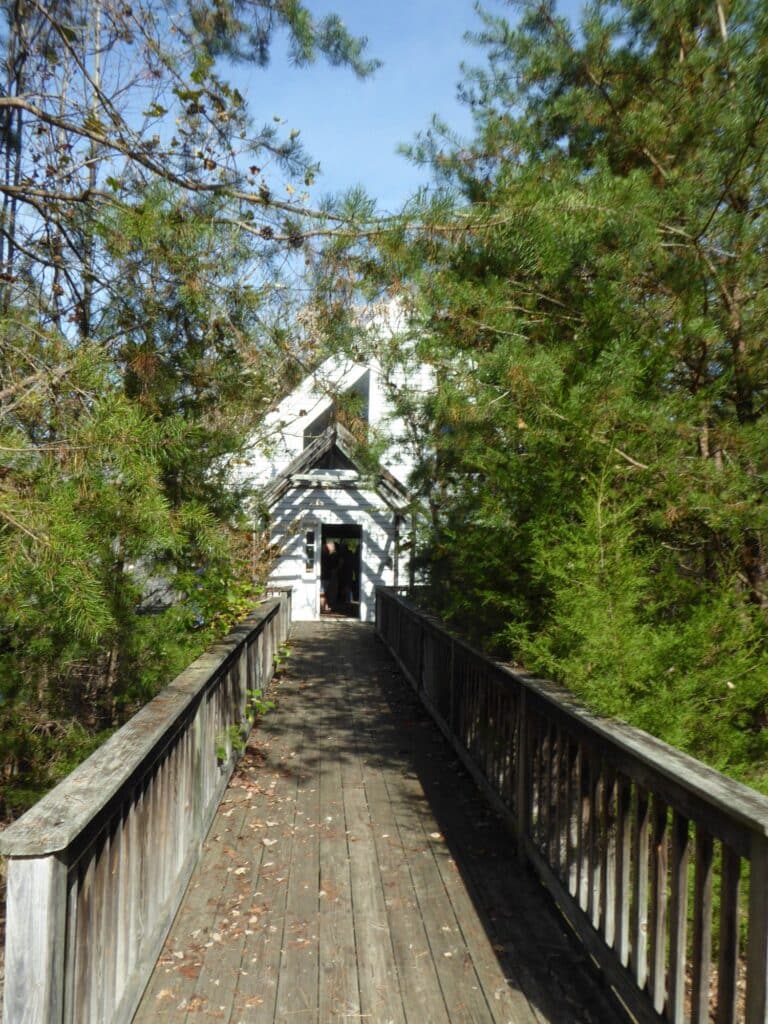 tasting building 768x1024