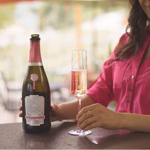 291695221 532692995056529 2620311139764436140 n