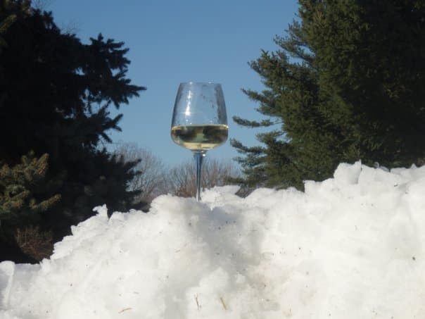 299847527 481184314013019 3287570625850497477 n