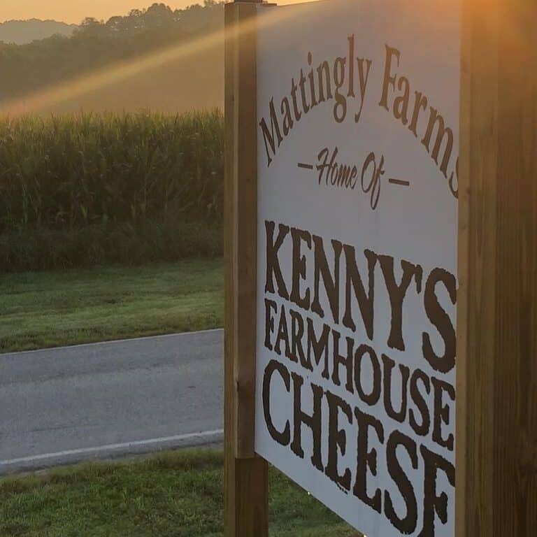 327404746 849082816389198 8266596047988163966 n 768x768