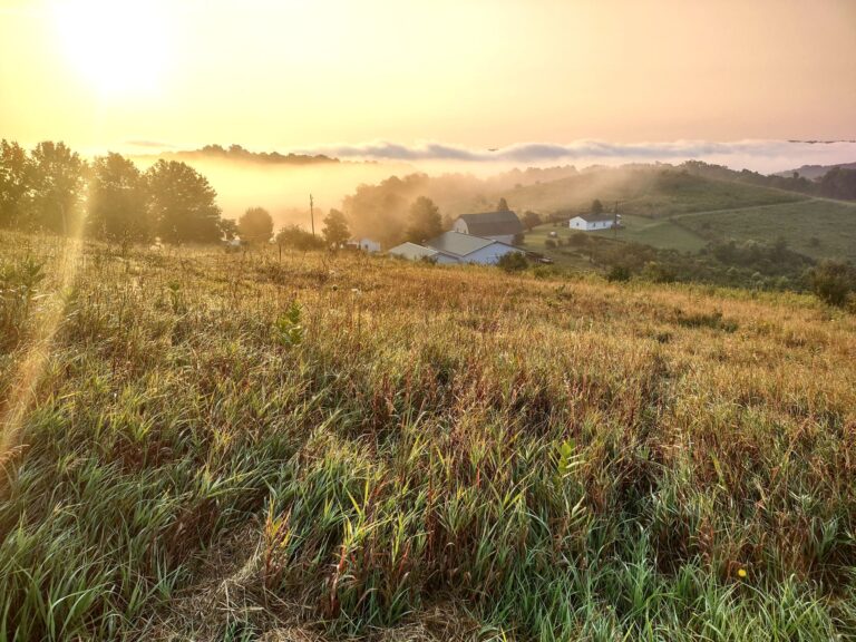 469743540 122147623316354157 397201463090262659 n 768x576