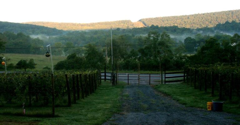 479493680 1159836049483818 7184706813683464964 n 768x399