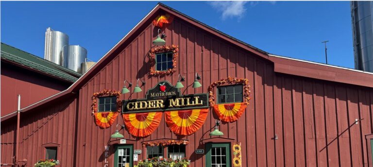 500088408 725652566485486 2146561135665519176 n 768x344