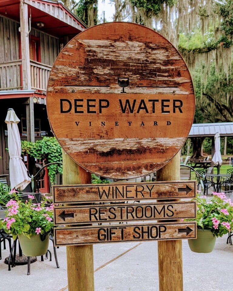 515442143 1077900917880066 5545443604576796710 n 768x960