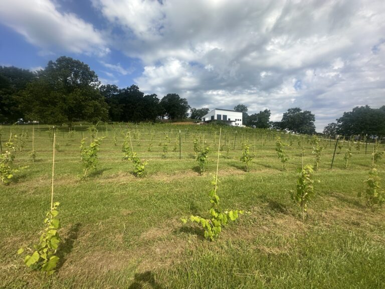 605175882 10102124339145198 2605570190207602596 n 768x576