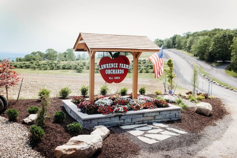 349316128 530039345838987 8932666710701357003 n 768x512