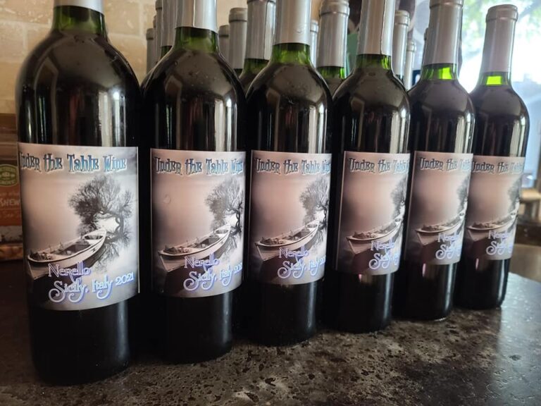 467396599 1056203442916841 210957856120232702 n 768x576