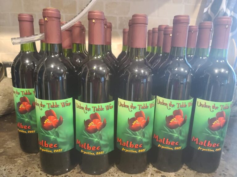 471229687 1079668430570342 6554589830244289645 n 768x576