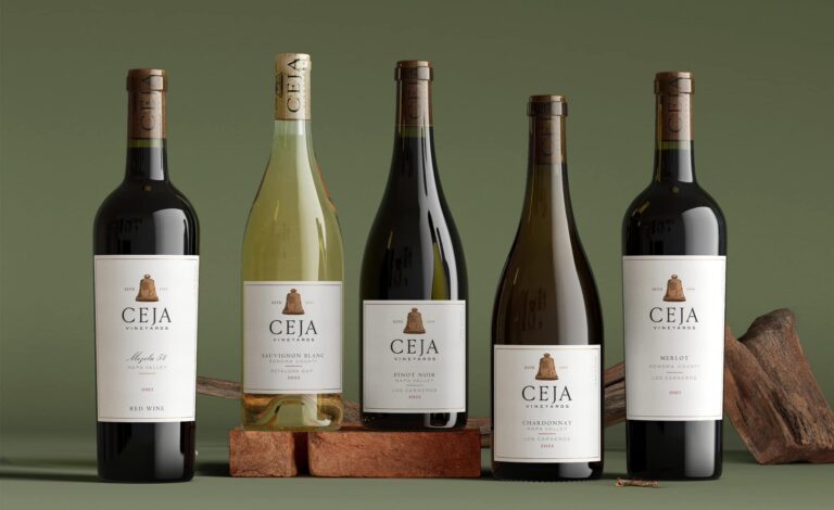 481081286 1040622538111089 8169902907276844048 n 768x470